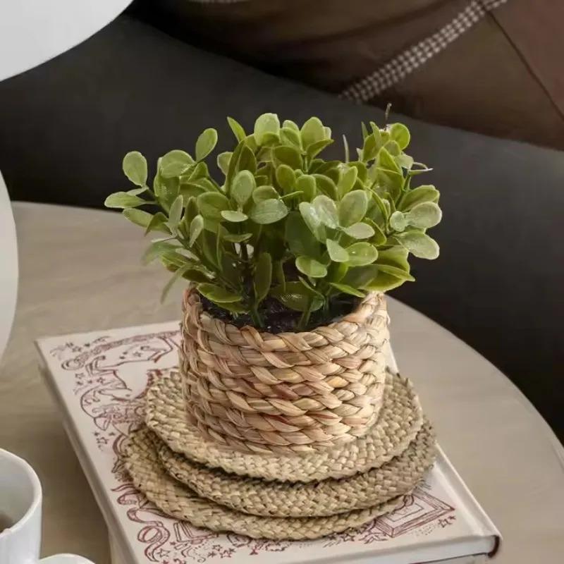Home Office Layout - 1pc vaso de plantas pequenas plantas