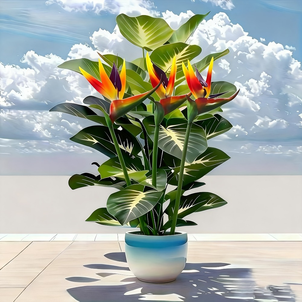 Plantas Artificiais de Ave do  - Home Office Layout avaliação e preço